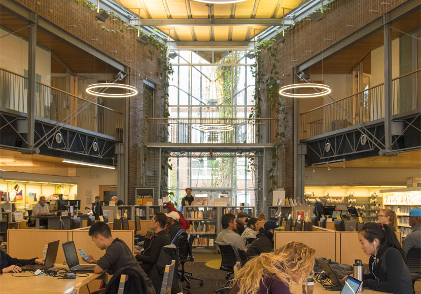 Interior view of climbing vines over vertical mesh screens at Capitol Hill Branch