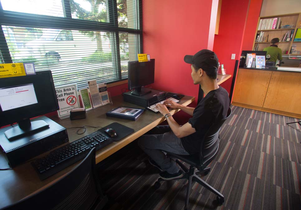 Library patron using public computer at the Wallingford Branch