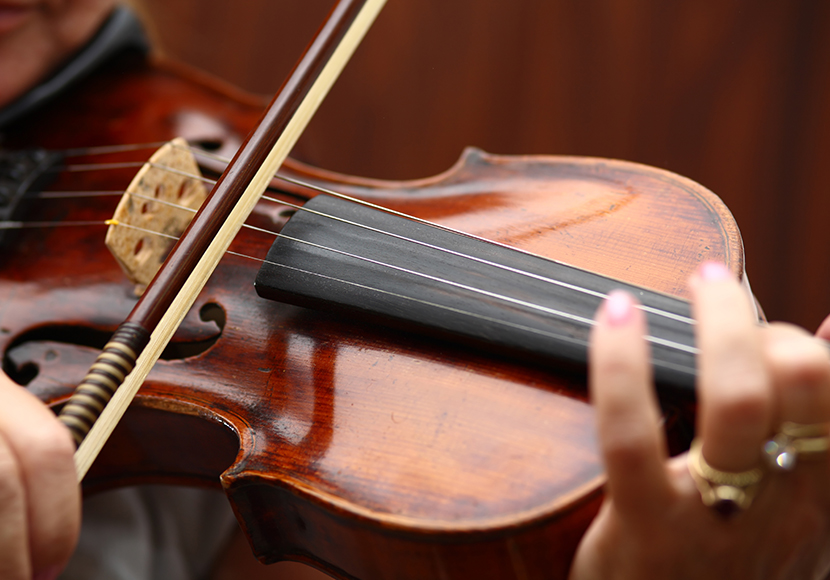 Stringed instrument