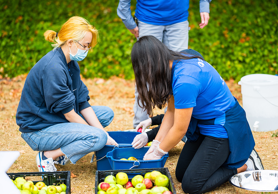 Participants washing apples in buckets. BLOOM cider press in Jimi Hendrix Park, 2020. Photo courtesy of Dancing in the Rain. 