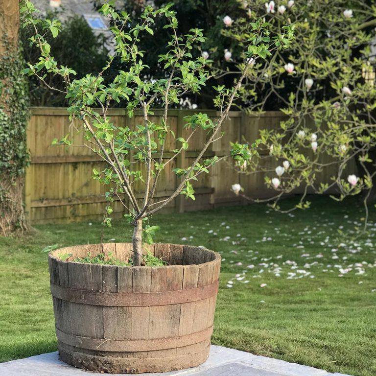 Our Garden Final Reveal